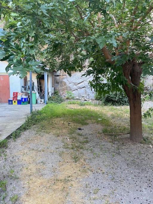 Appt 4 Pers Avec Jardin Ombrage En Centre Ville De Sète Exteriör bild