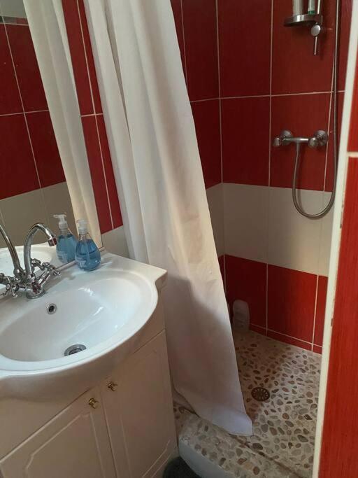 Appt 4 Pers Avec Jardin Ombrage En Centre Ville De Sète Exteriör bild
